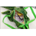 Kids Backpack Cute Dinosaur Plush Toys